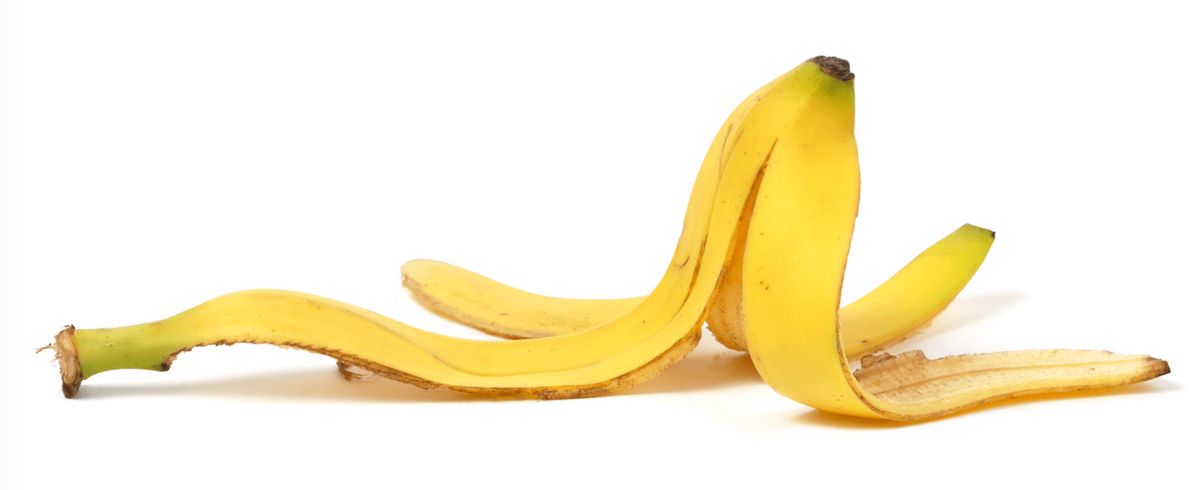 Kulit Pisang Bisa Menghidupkan Tanaman?